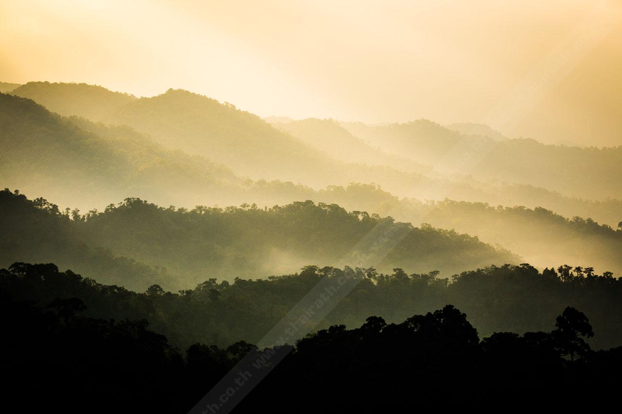 แสงสาด สาดแสง