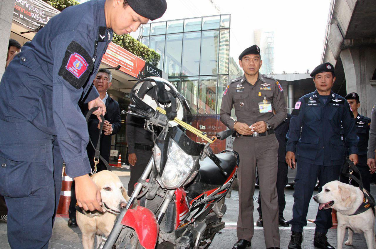 นำสุนัขตำรวจ ร่วมในการรักษาความปลอดภัย