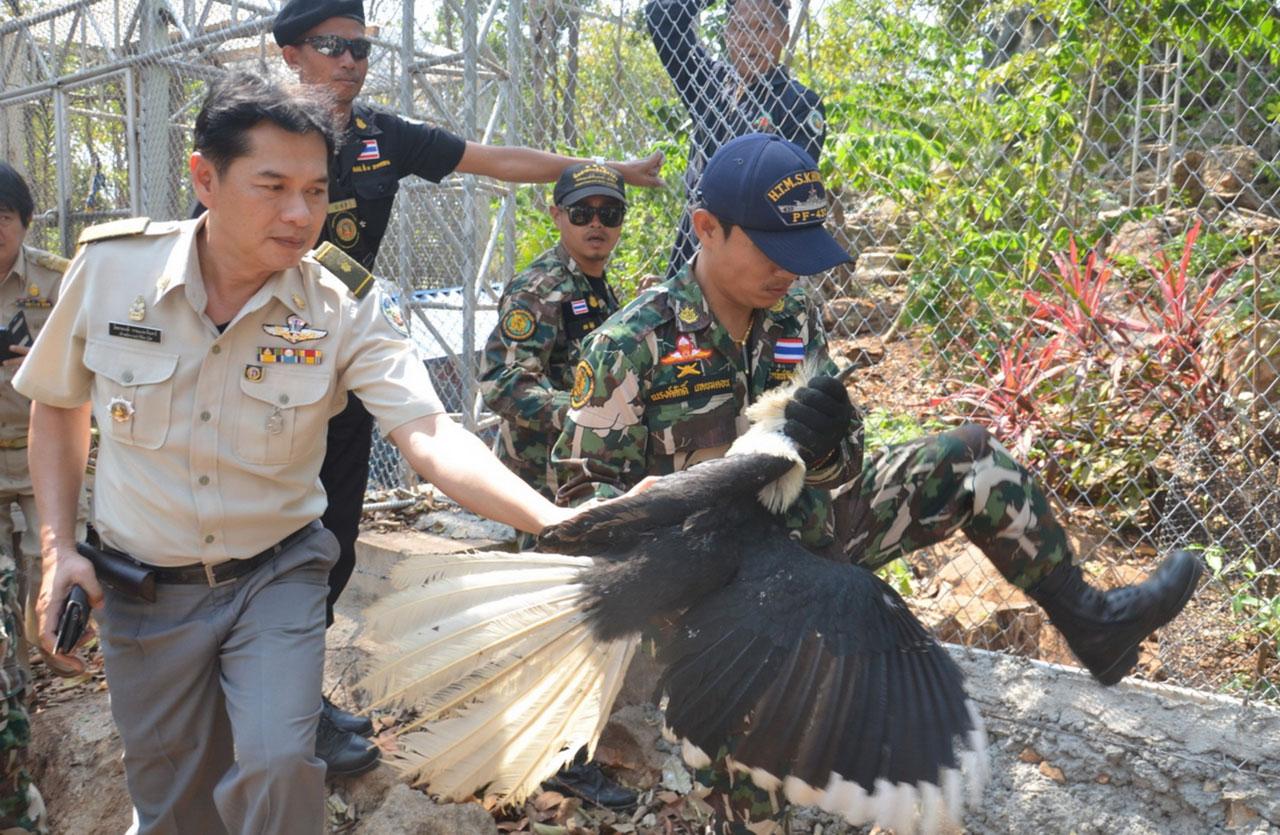 ขณะ จนท. ทำการตรวจยึด นกสัตว์ป่าคุ้มครอง เมื่อ 3 ก.พ. 58 ที่ผ่านมา