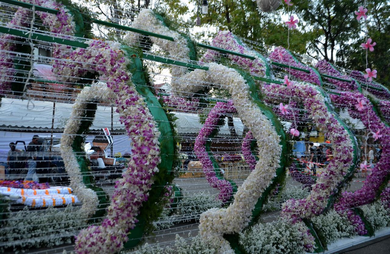 ซุ้มดอกไม้ตระการตา