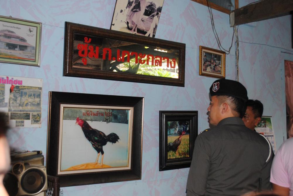 เจ้าหน้าที่สนธิกำลังทลายบ่อนไก่ชนย่านดินแดง