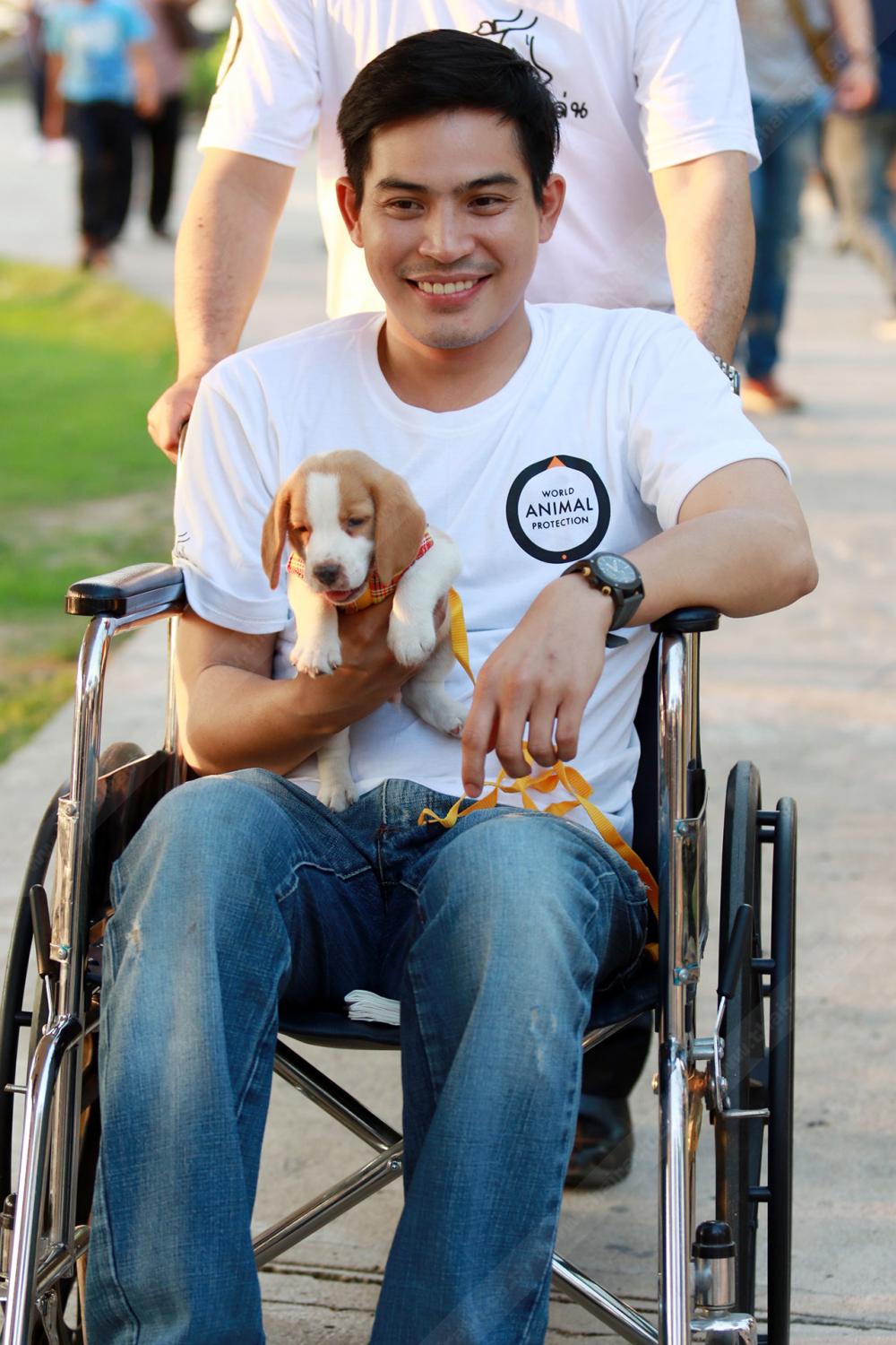 น้องหมาน่ารักเชียว