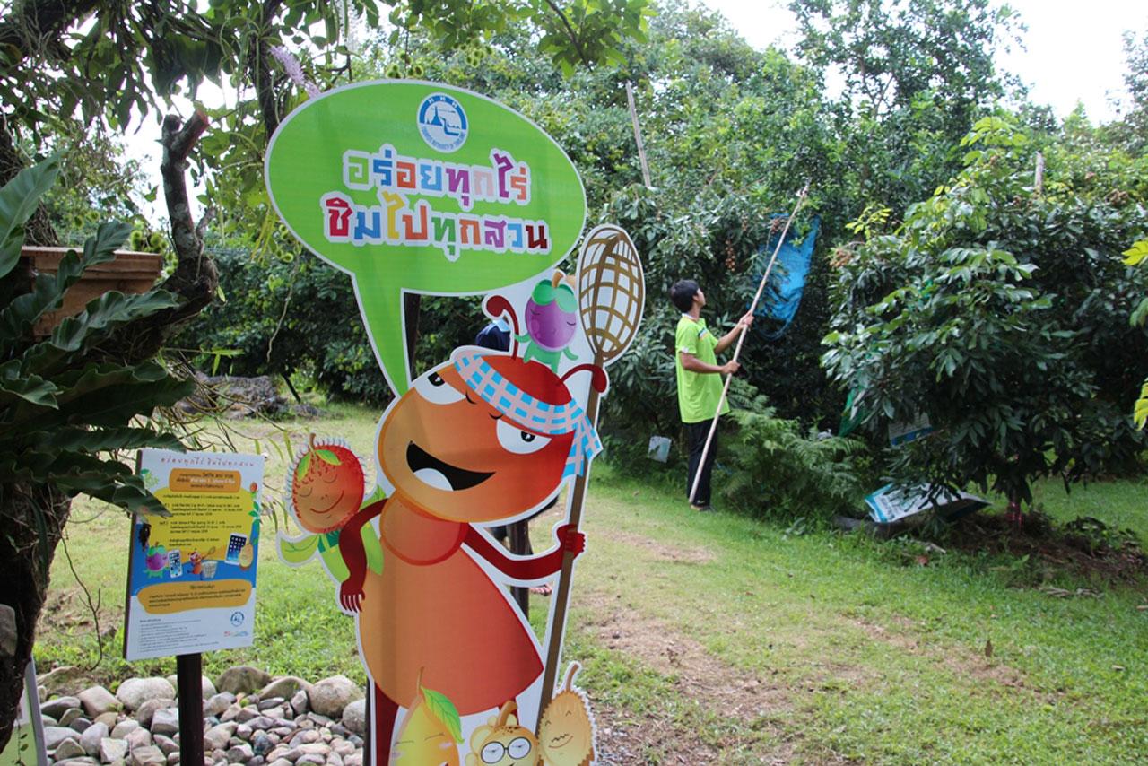 อร่อยทุกไร่ ชิมไปทุกสวน