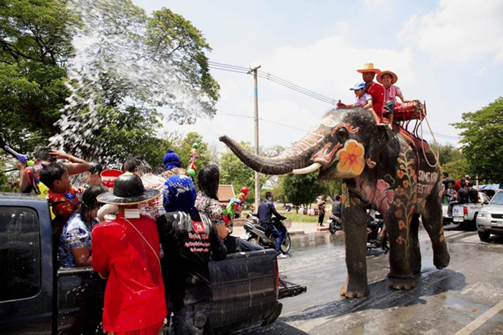 สาดน้ำสงกรานต์กับช้าง