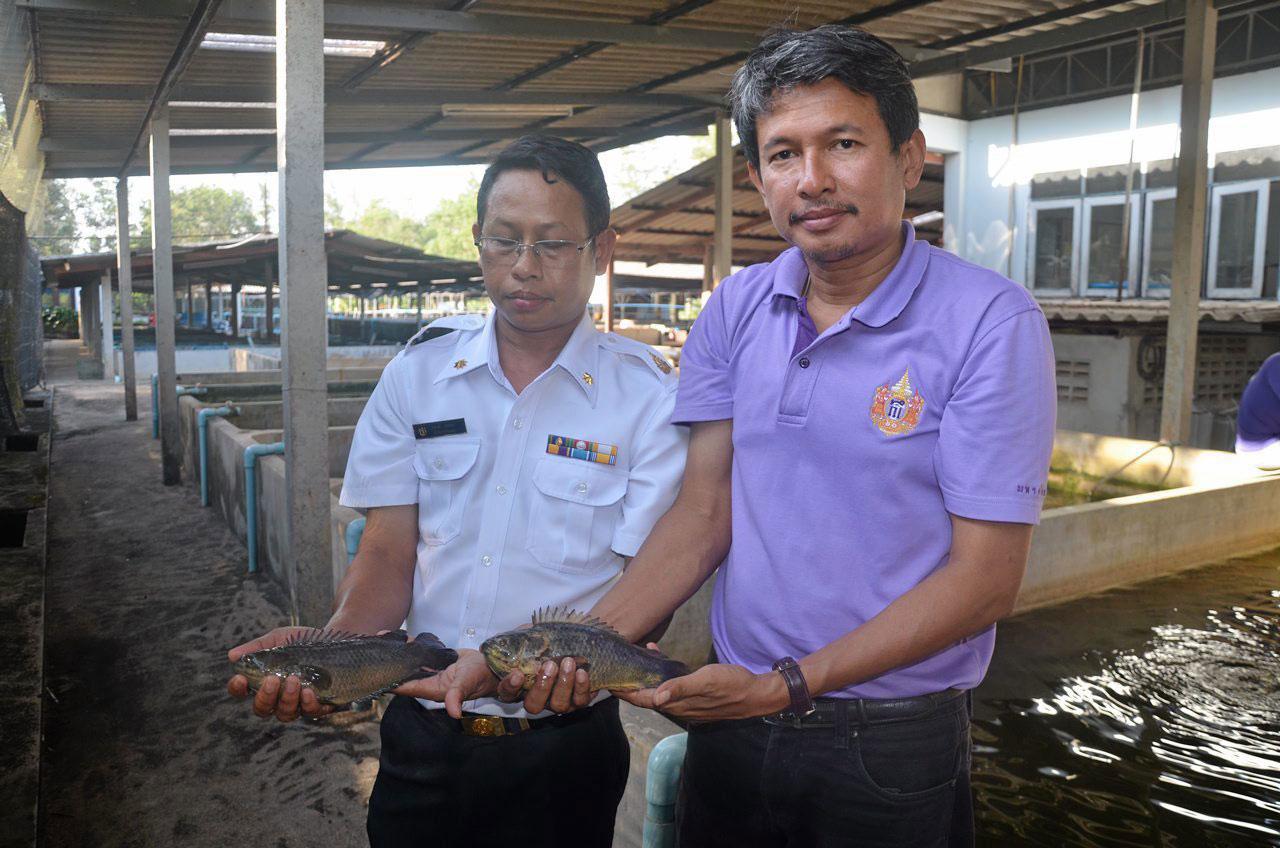ศูนย์วิจัยและพัฒนาพันธุกรรมสัตว์น้ำชุมพร
