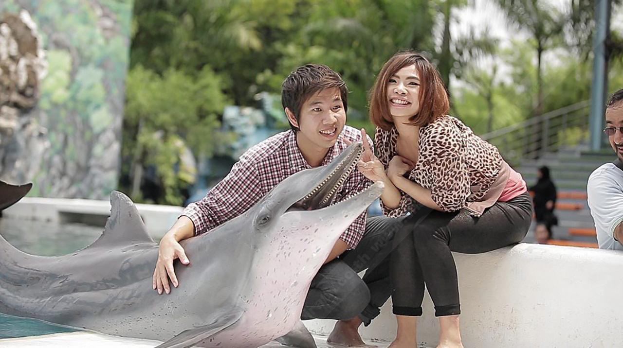 บาส - ซาย