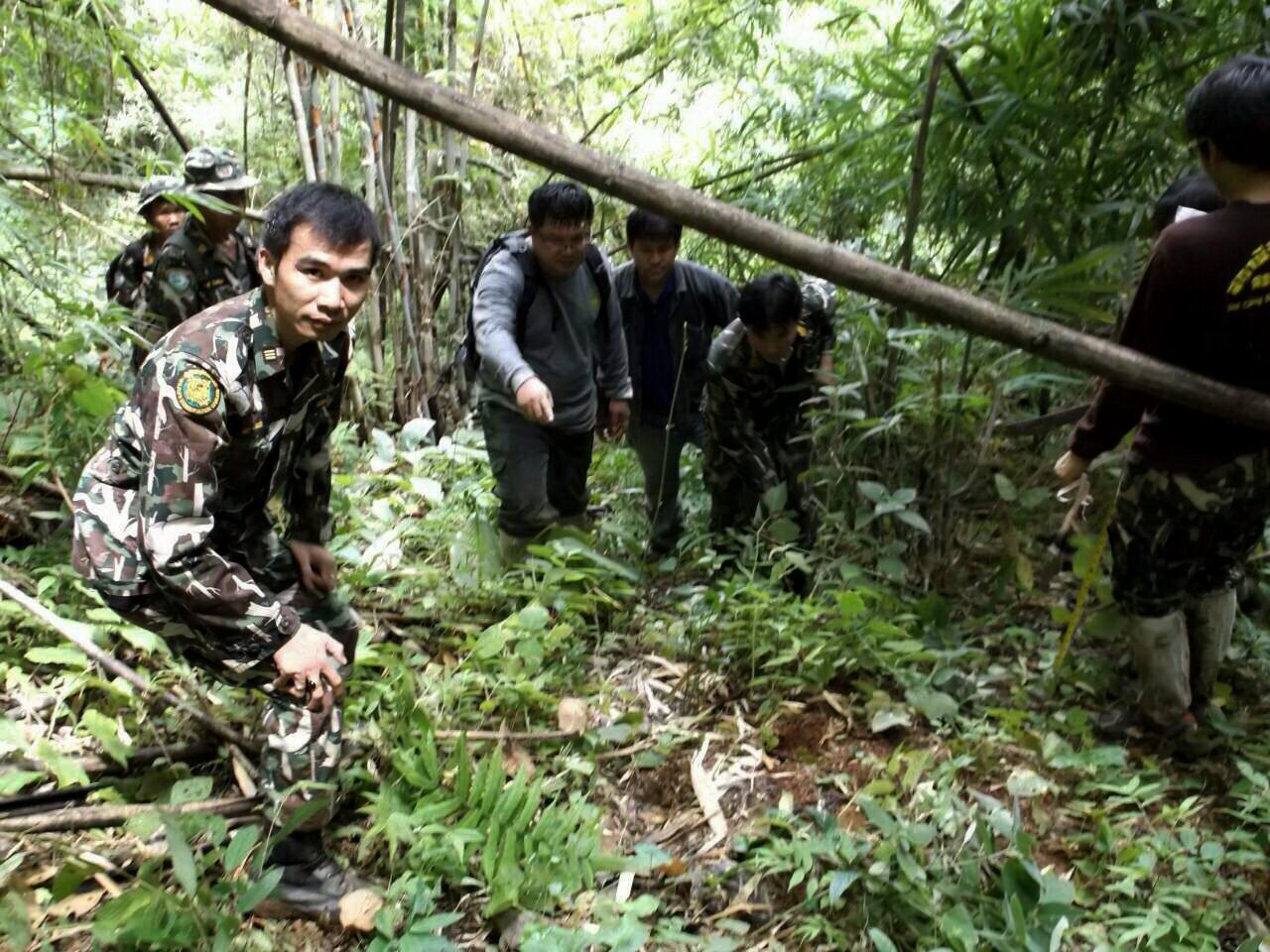 ตามรอย‘เสือกินวัว’