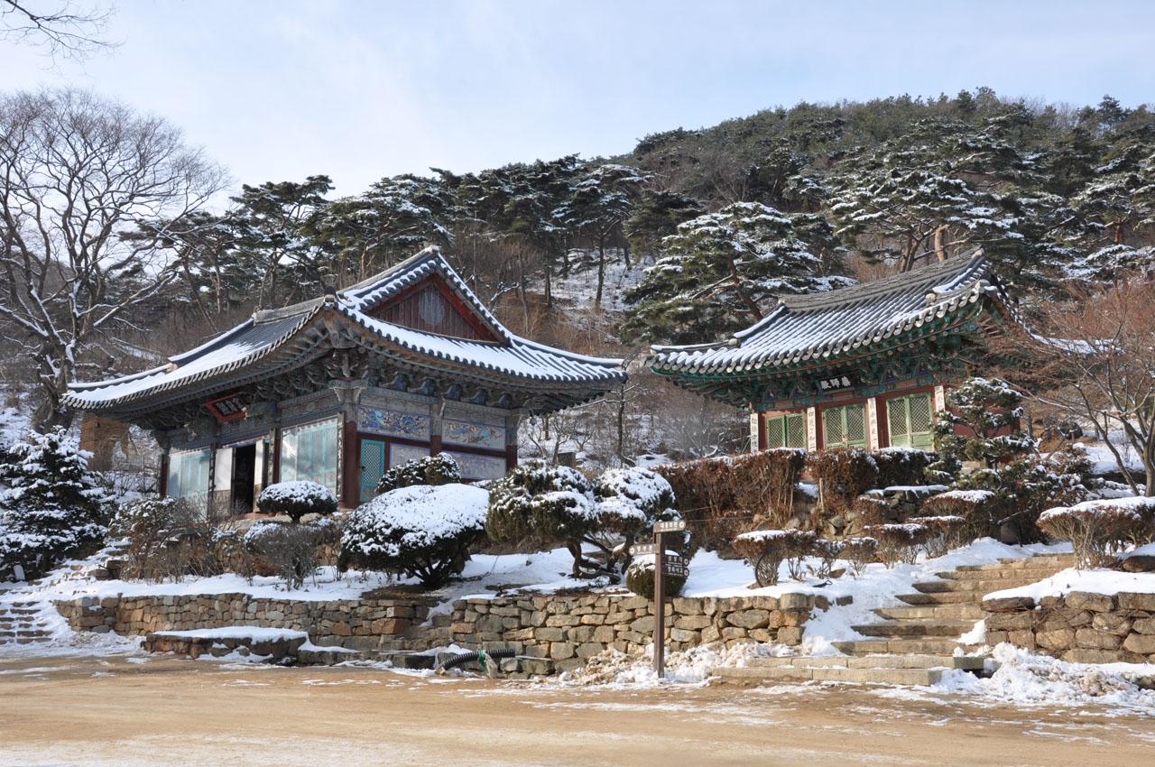 วัดชองดุง - Jeondeungsa ...ตอนหิมะตกสวยมาก