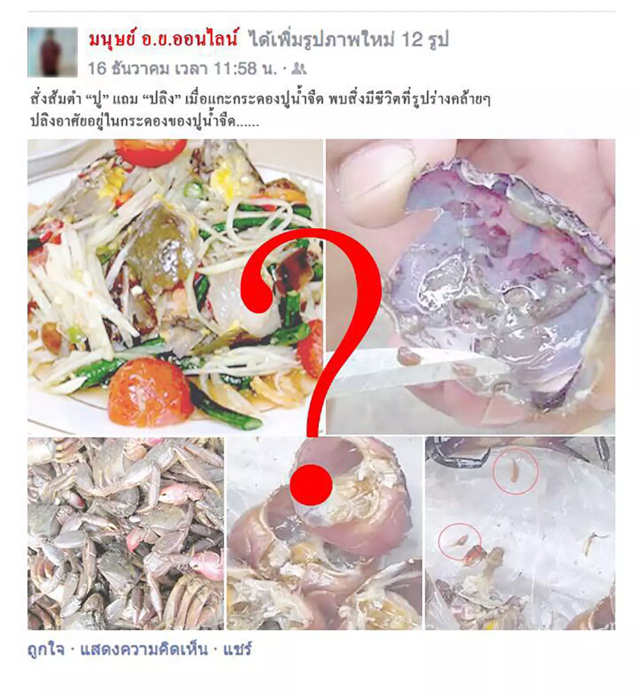 มนุษย์ อย.ออนไลน์