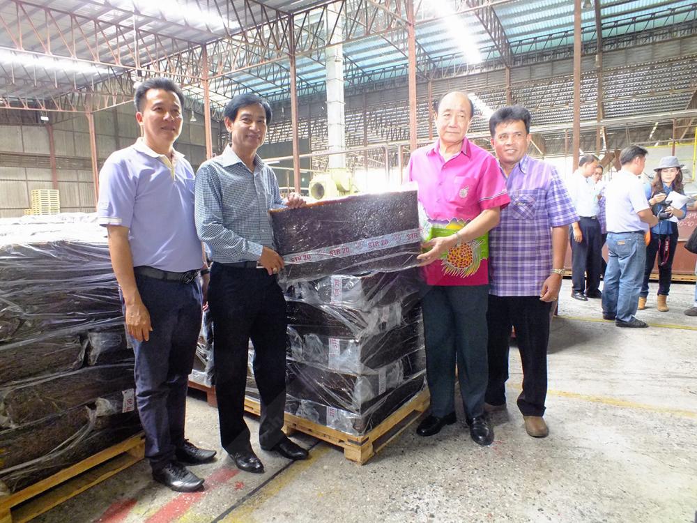 ยางก้อนถ้วยมาทำเป็นยาง STR20 เป็นที่ต้องการของโรงงาน