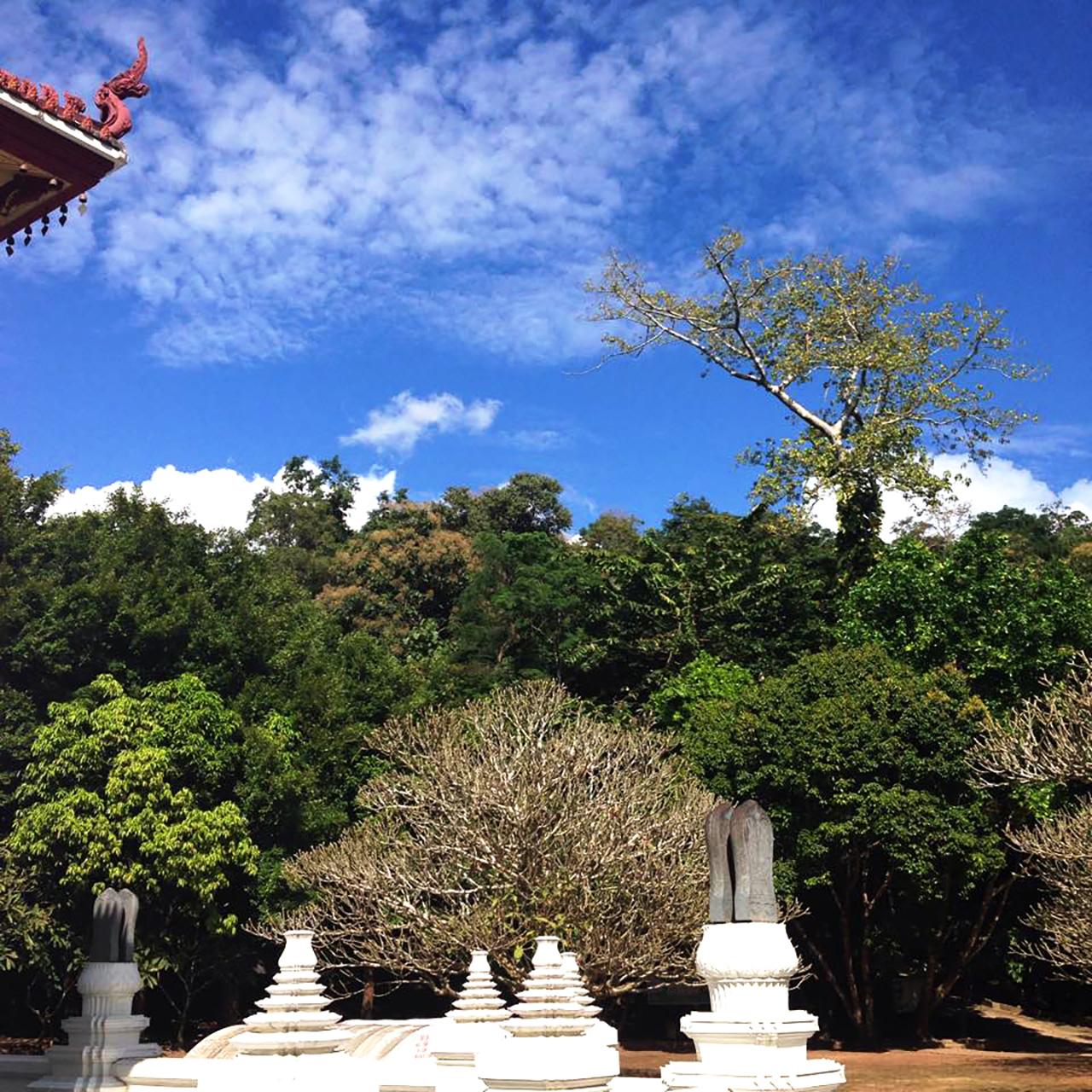 แดดกับธรรมชาติสวยงามกระจ่างตา