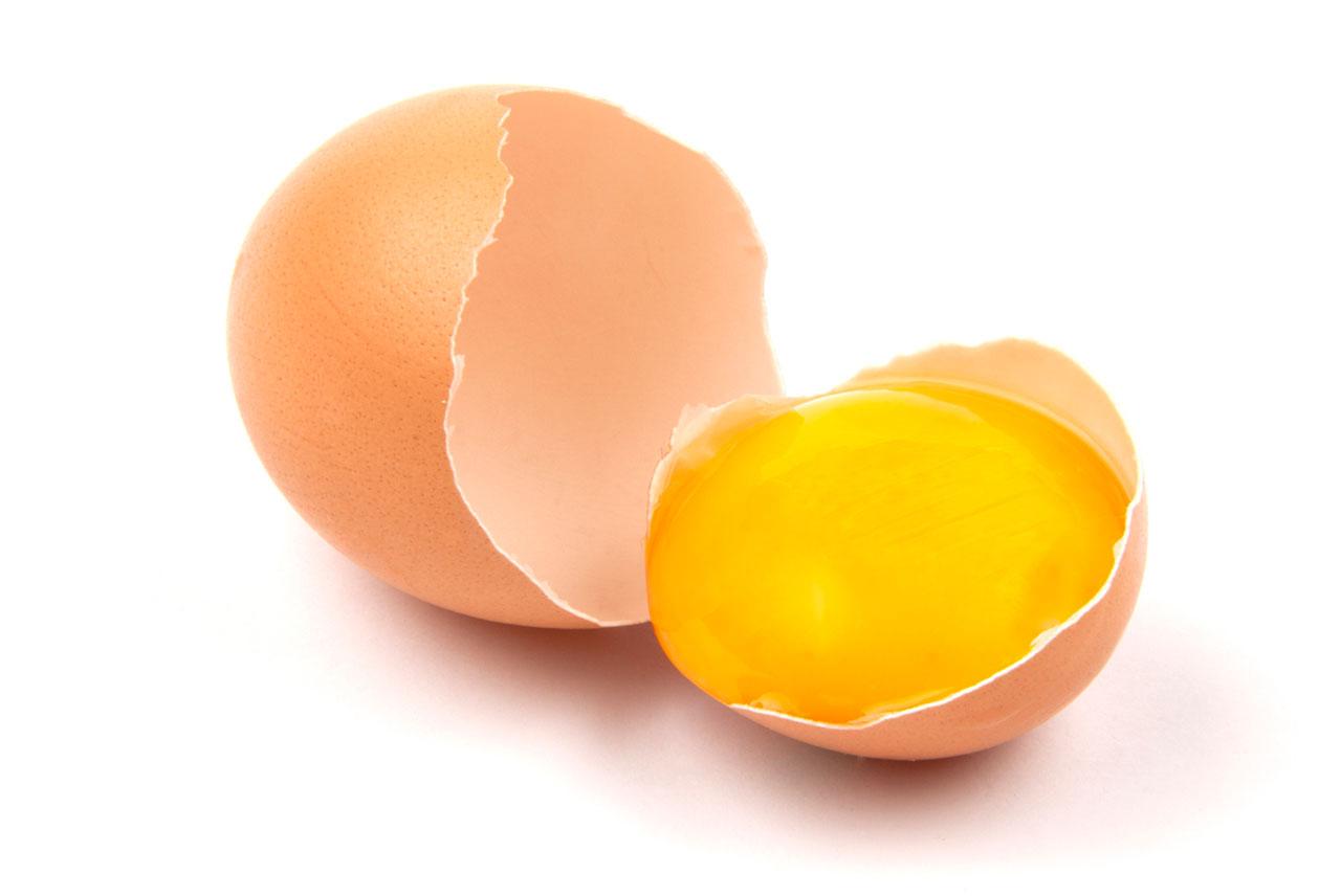 ไข่ไก่