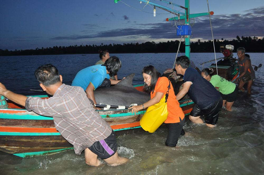 นำลงเรือไปปล่อยในทะเลลึก