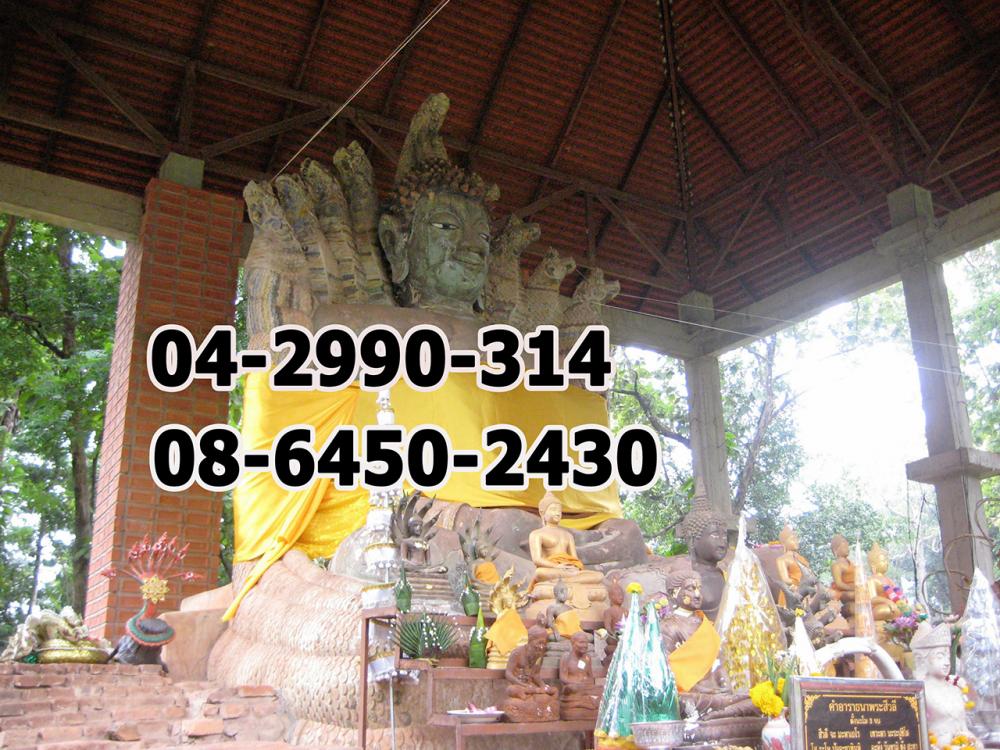 องค์หลวงปู่นาคเดิม.