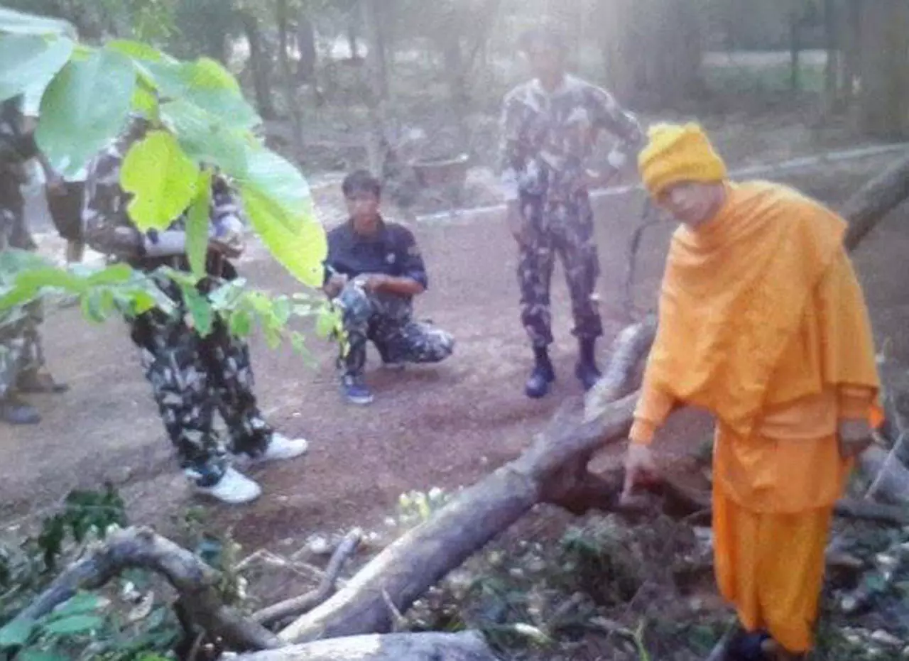 พระตัดไม้พะยูง ร้องขอเป็นธรรม ถูกจับเข้าคุก ตร. ยันทำตามหน้าที่