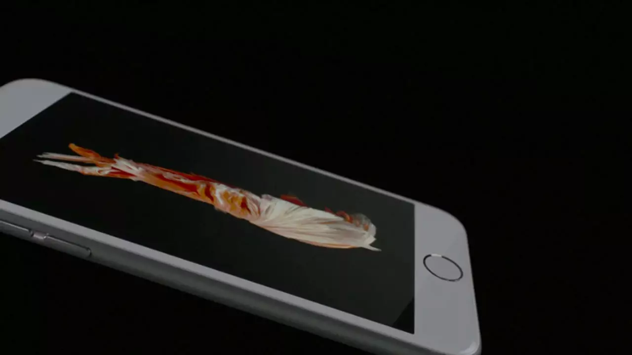 ภูมิใจที่คนไทยทำได้ เบื้องหลังภาพปลากัดบนไอโฟน 6S ขอบคุณทุกกำลังใจ