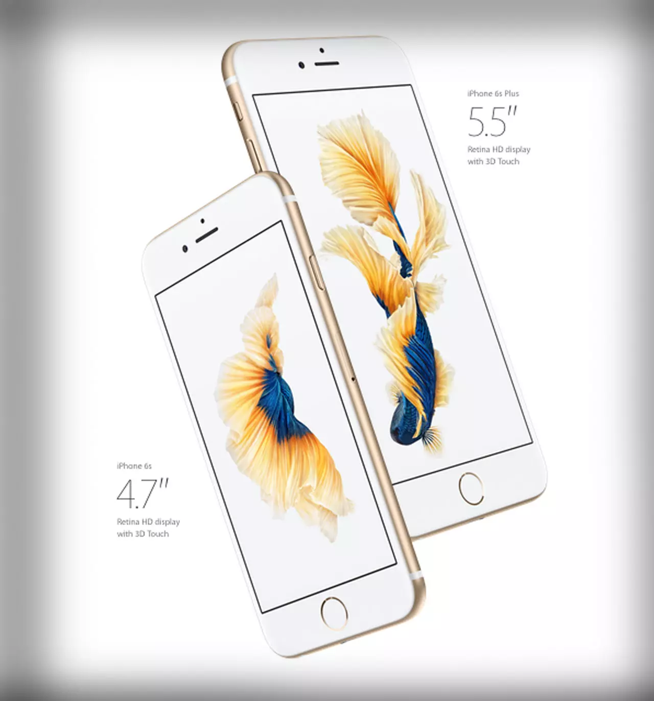 ภูมิใจที่คนไทยทำได้ เบื้องหลังภาพปลากัดบนไอโฟน 6S ขอบคุณทุกกำลังใจ