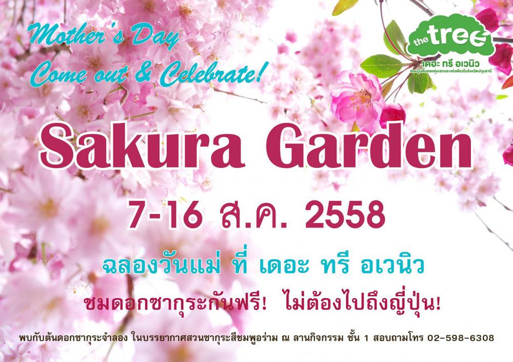 เที่ยวเพลิน ชมซากุระจำลอง
