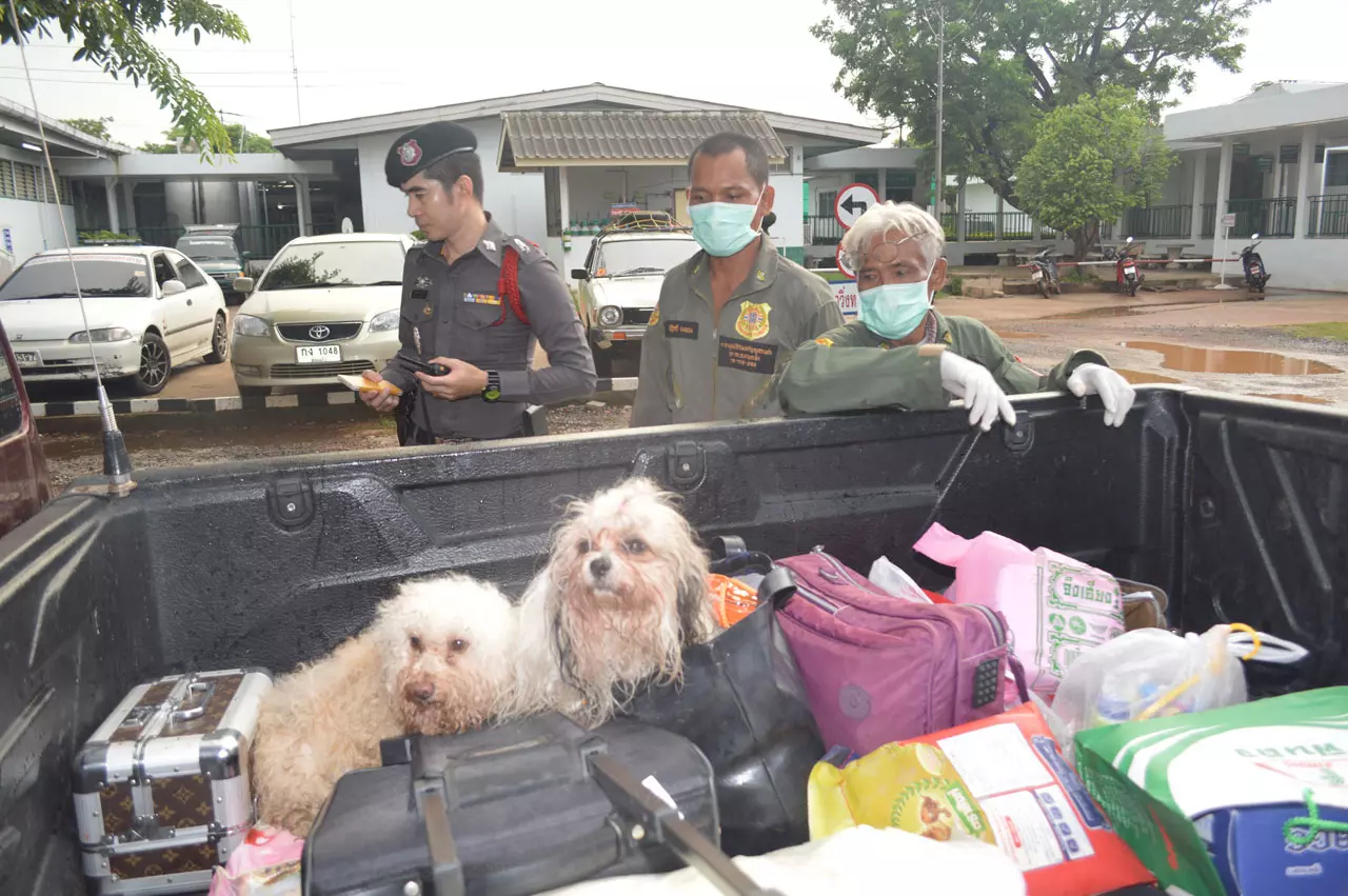 รถเก๋งชนพ่วง 18 ล้อหักหลบตัดหน้าครอบครัว 'นายอง'ดับ 4 ศพ