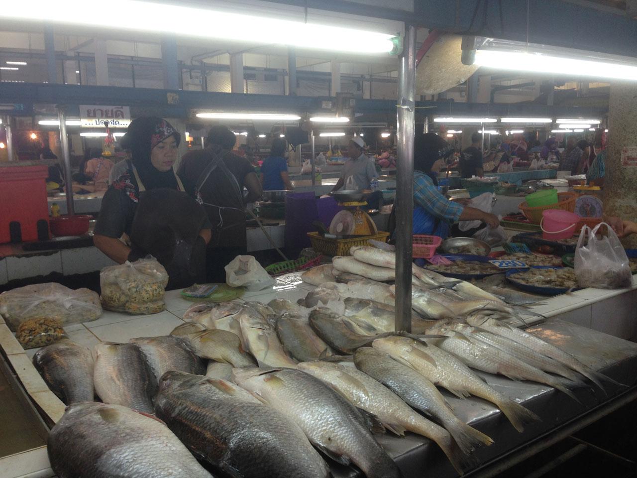 ปลาทะเลเริ่มขาดตลาด