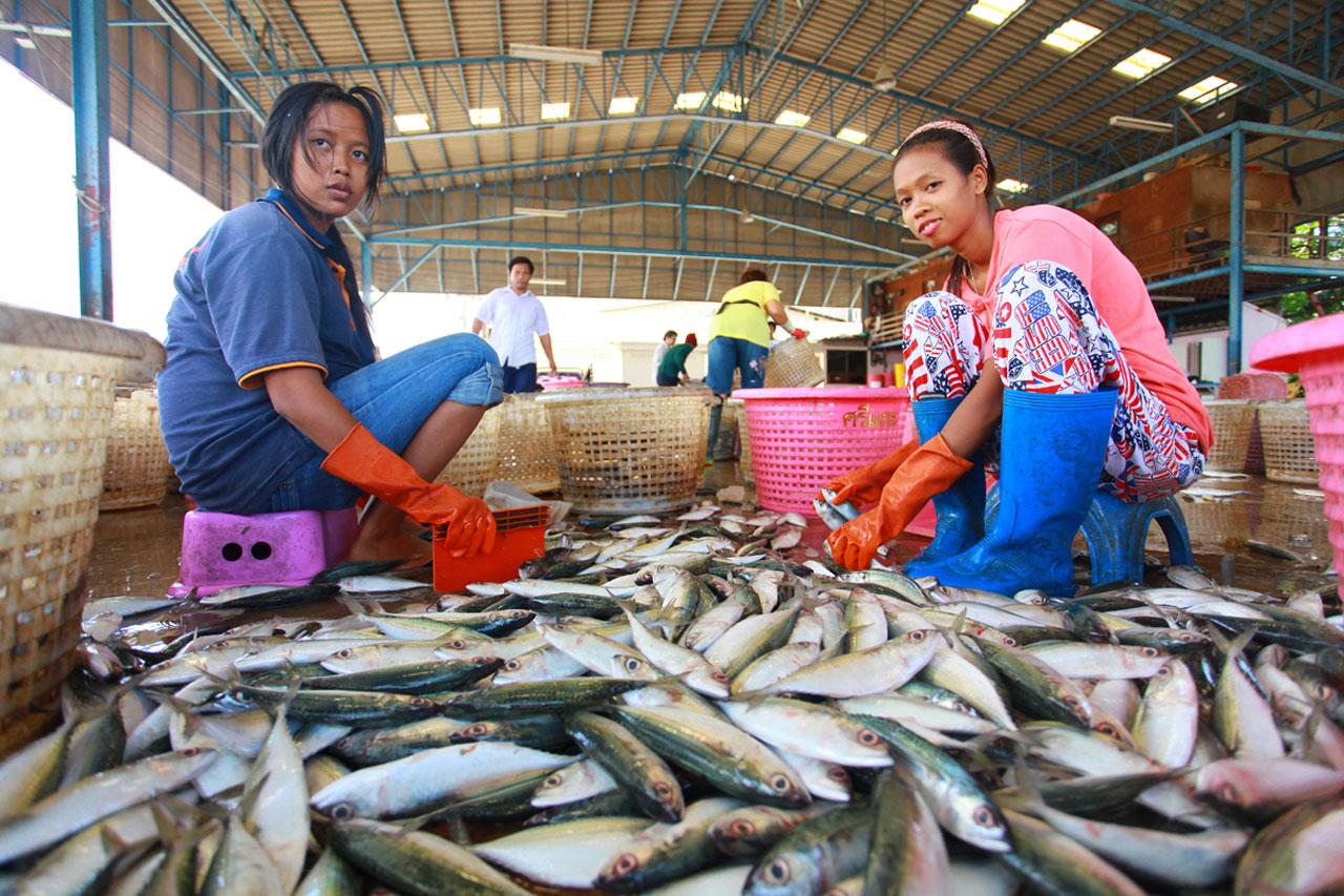 พบราคาอาหารทะเลในตลาดโรงเกลือ ปรับราคาสูงขึ้น
