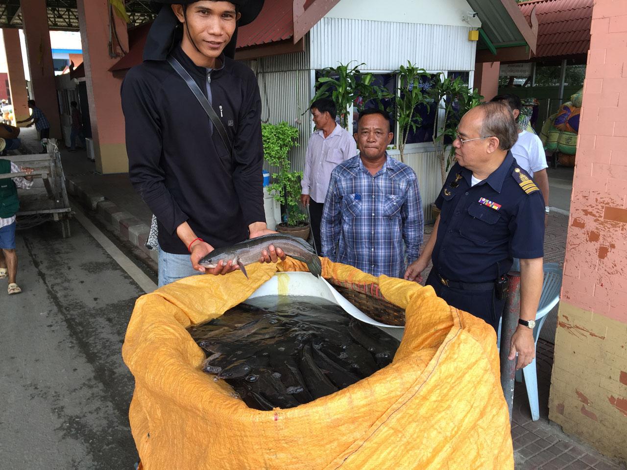 ชาวกัมพูชาบรรทุกปลาน้ำจืด จากฝั่งเขมรเข้ามาส่งขายในประเทศไทยเพิ่มขึ้น