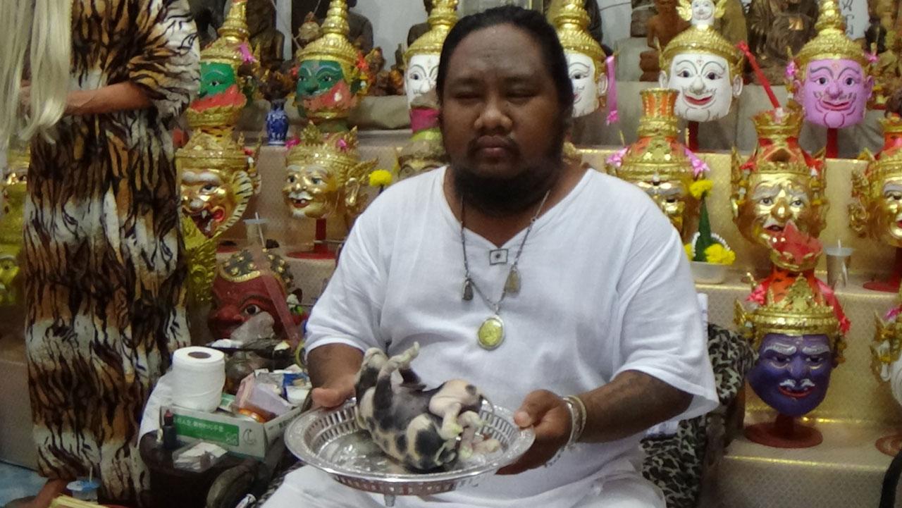 ซากลูกหมู อยู่ในพานบูชา