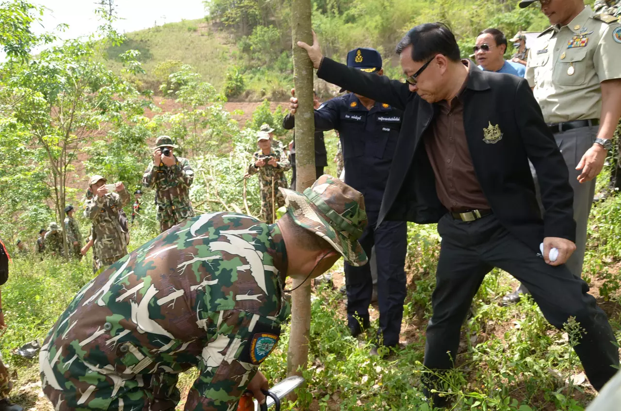 รองผู้ว่าฯ เชียงใหม่ เปิดโครงการตัดฟันสวนยางพารา เขตป่าอนุรักษ์ฯ