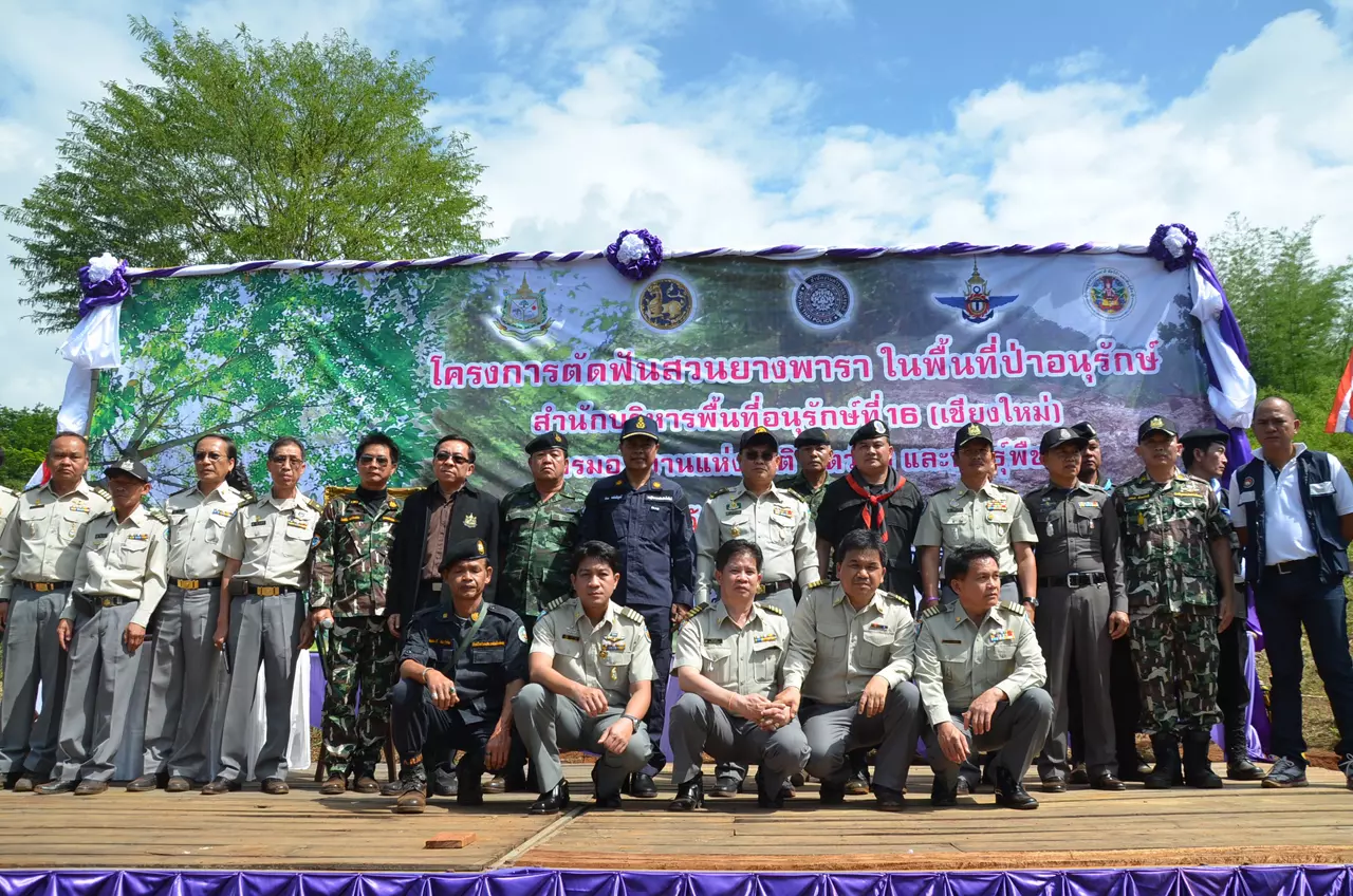 รองผู้ว่าฯ เชียงใหม่ เปิดโครงการตัดฟันสวนยางพารา เขตป่าอนุรักษ์ฯ