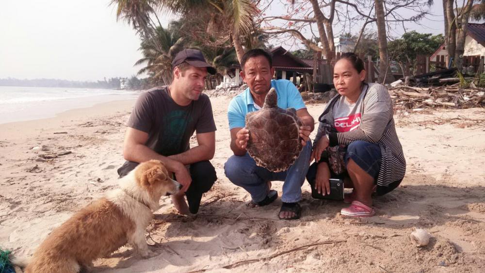 เต่าทะเลติดอยู่กับซากอวนเก่าเรือประมงตายที่บริเวณชายหาด อ.ปะทิว จ.ชุมพร