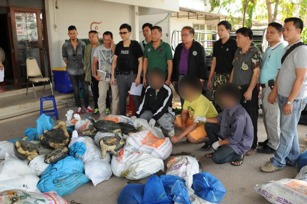 รวบผู้ต้องหา พร้อมของกลาง เป็นเต่าและตะพาบ