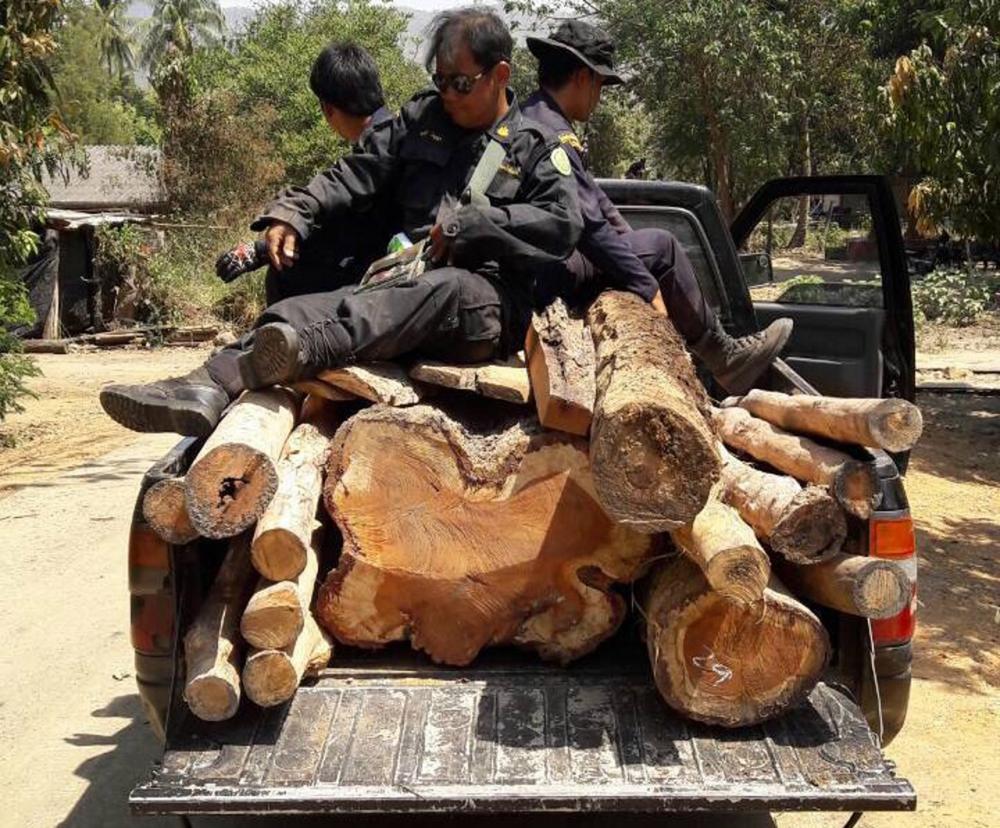จนท.ป่าไม้ ตรวจค้นพบไม้ต้องห้าม รวมมูลค่า 5แสนบาท
