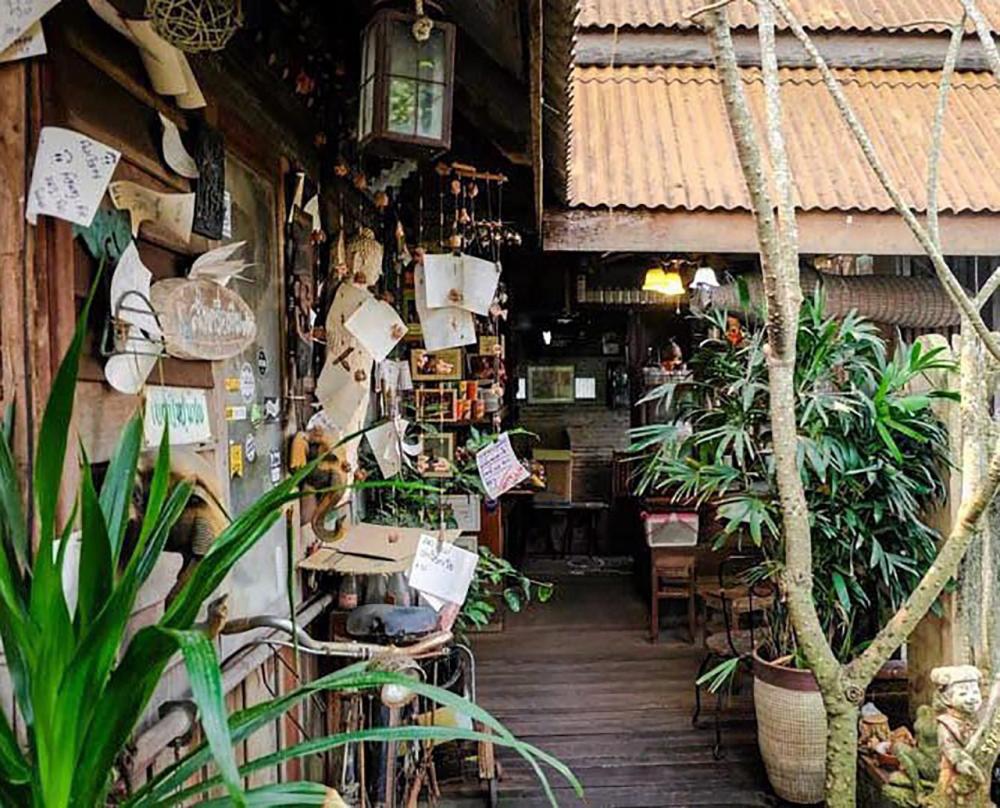 อีกมุมเก๋ของร้านกาแฟกับต้นไม้.