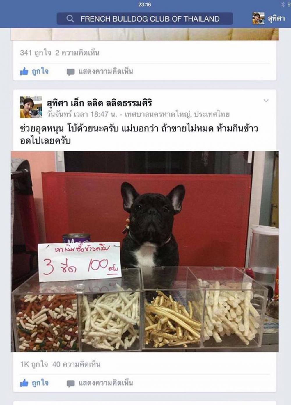 พี่โบ้ทำตัวมีประโยชน์