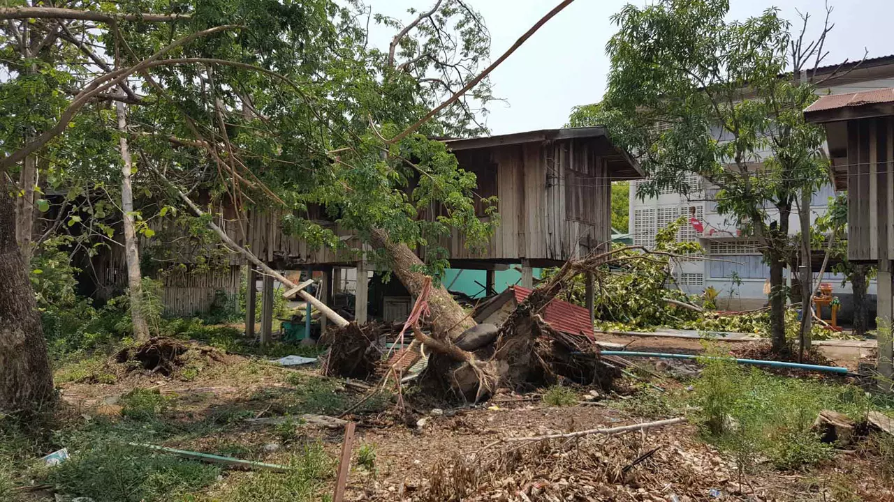 พายุฤดูร้อนถล่ม! สุโขทัยอ่วม บ้านพัง 700 หลัง -แพร่ ต้นไม้ล้มระนาว