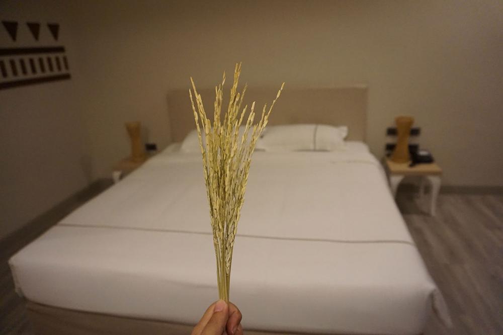 ห้องพักซูพีเรีย ถูกสุดช่วงโปรโมชั่นเพียง 990 บาท