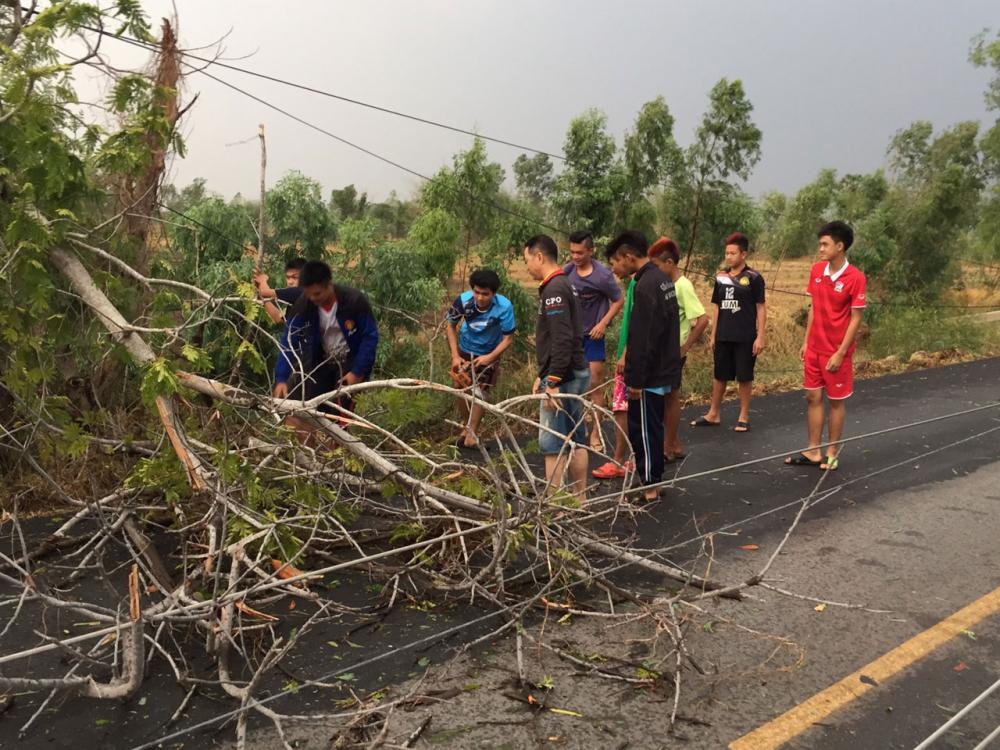 ต้นไม้หักโค่นจากพายุลูกเห็บ