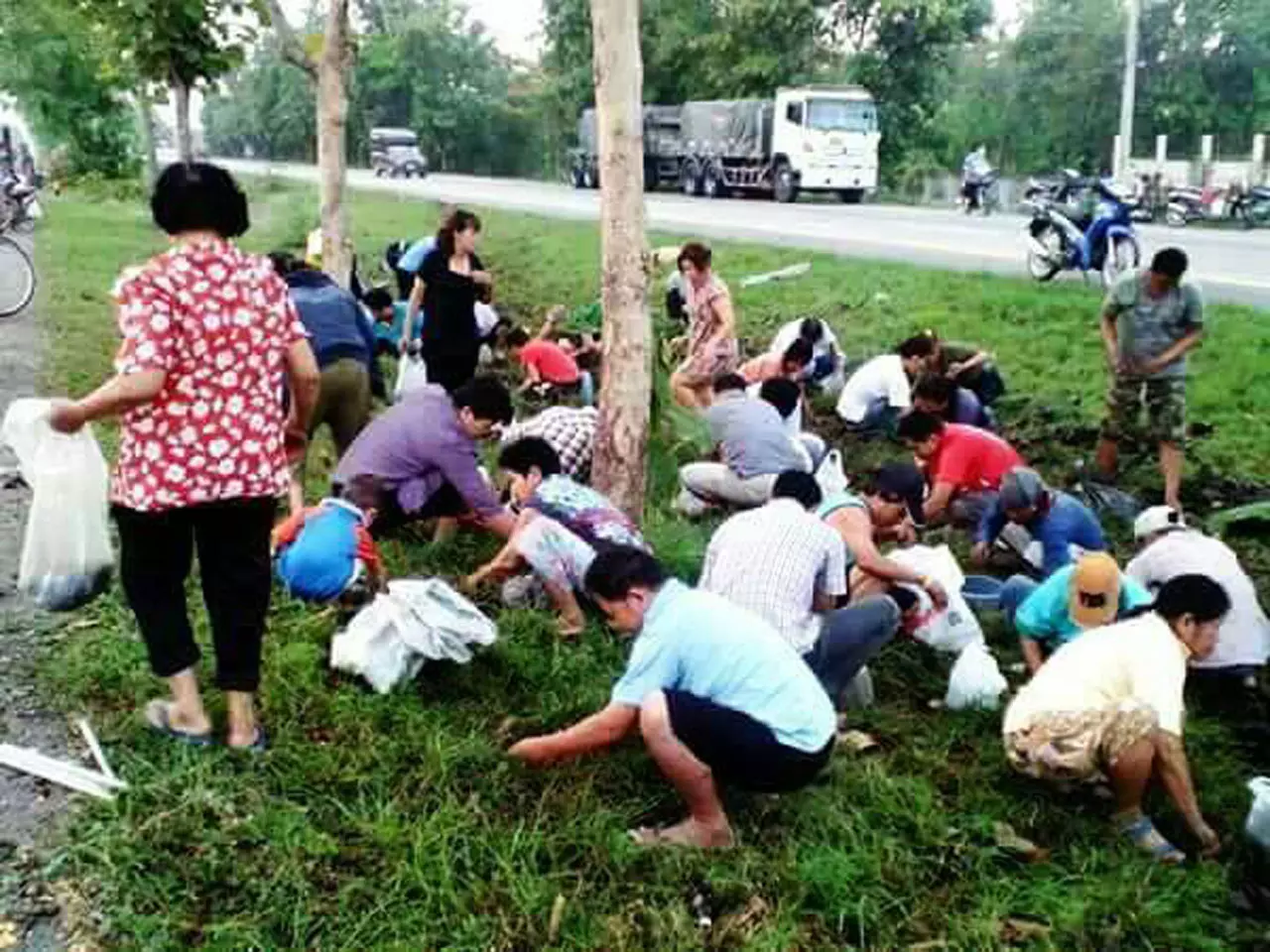 เหตุจากเห็ด! ด่ายับ รถคว่ำที่ลำปางเมินช่วยคน วิ่งไปแย่งเก็บเห็ดเผาะ