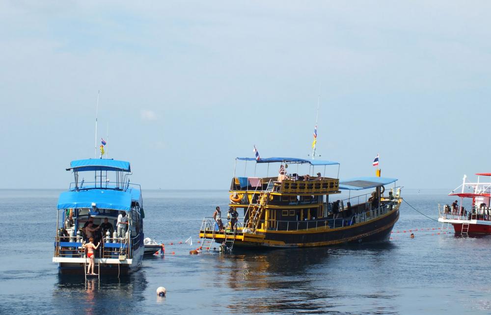 เรือนักท่องเที่ยว หากินบริเวณเกาะช้าง