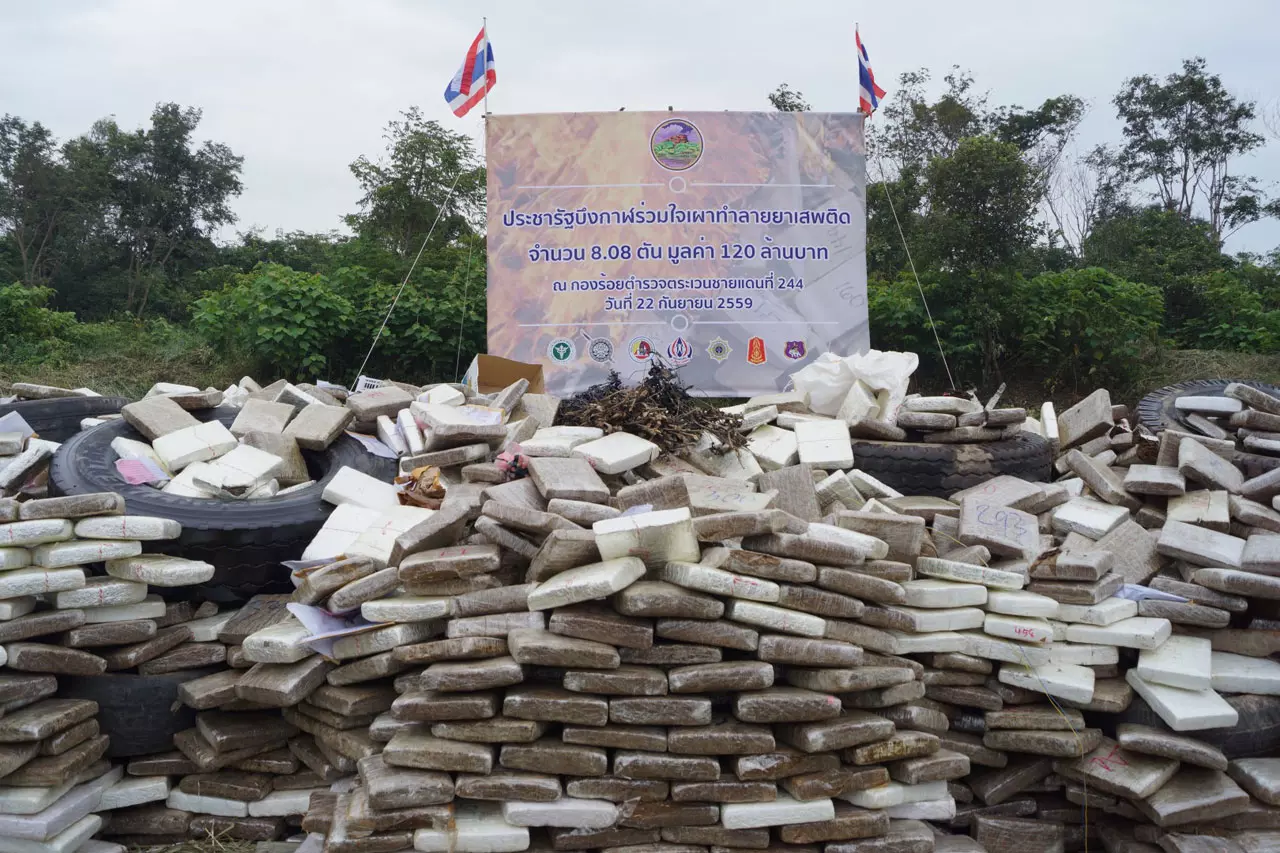 เห็นแล้วเมา ผวจ.บึงกาฬ นำทีมเผากัญชามากว่า 8 ตัน มูลค่า 120 ล้าน  