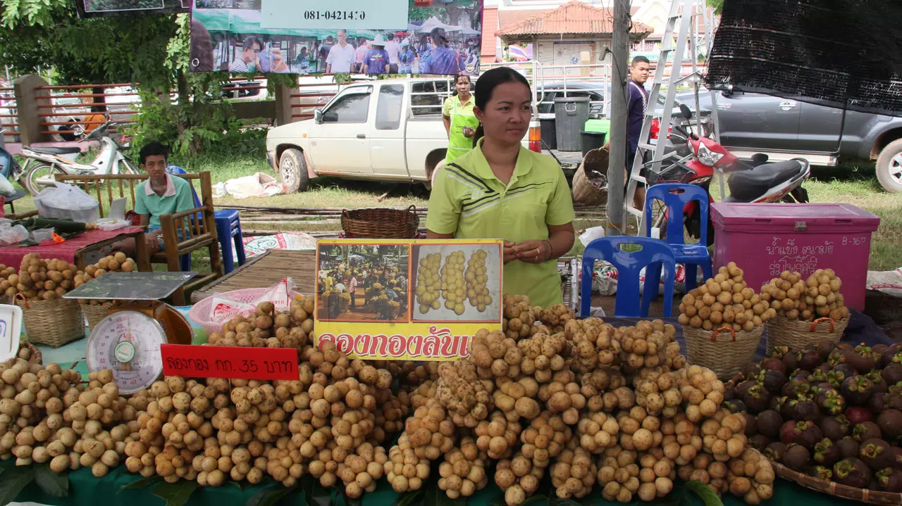 ของดีเมืองอุตรดิตถ์! ลางสาด-ลองกองลับแล คนชอบผลไม้ไม่ควรพลาด