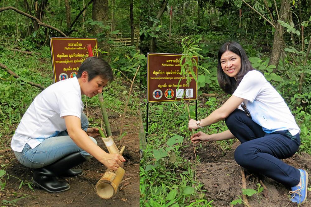 พิมพ์ผกา หวั่งหลี - จิตตินันท์ หวั่งหลี