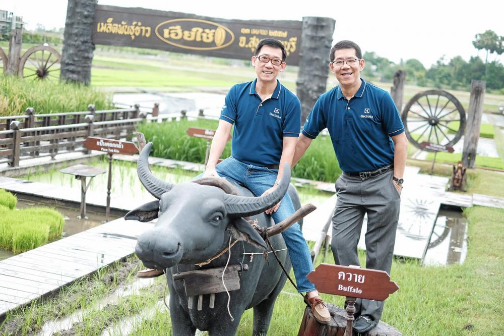 สุทธิ มโนกิจจรูญมั่น-มร.แซนต้า นิโคลัส.