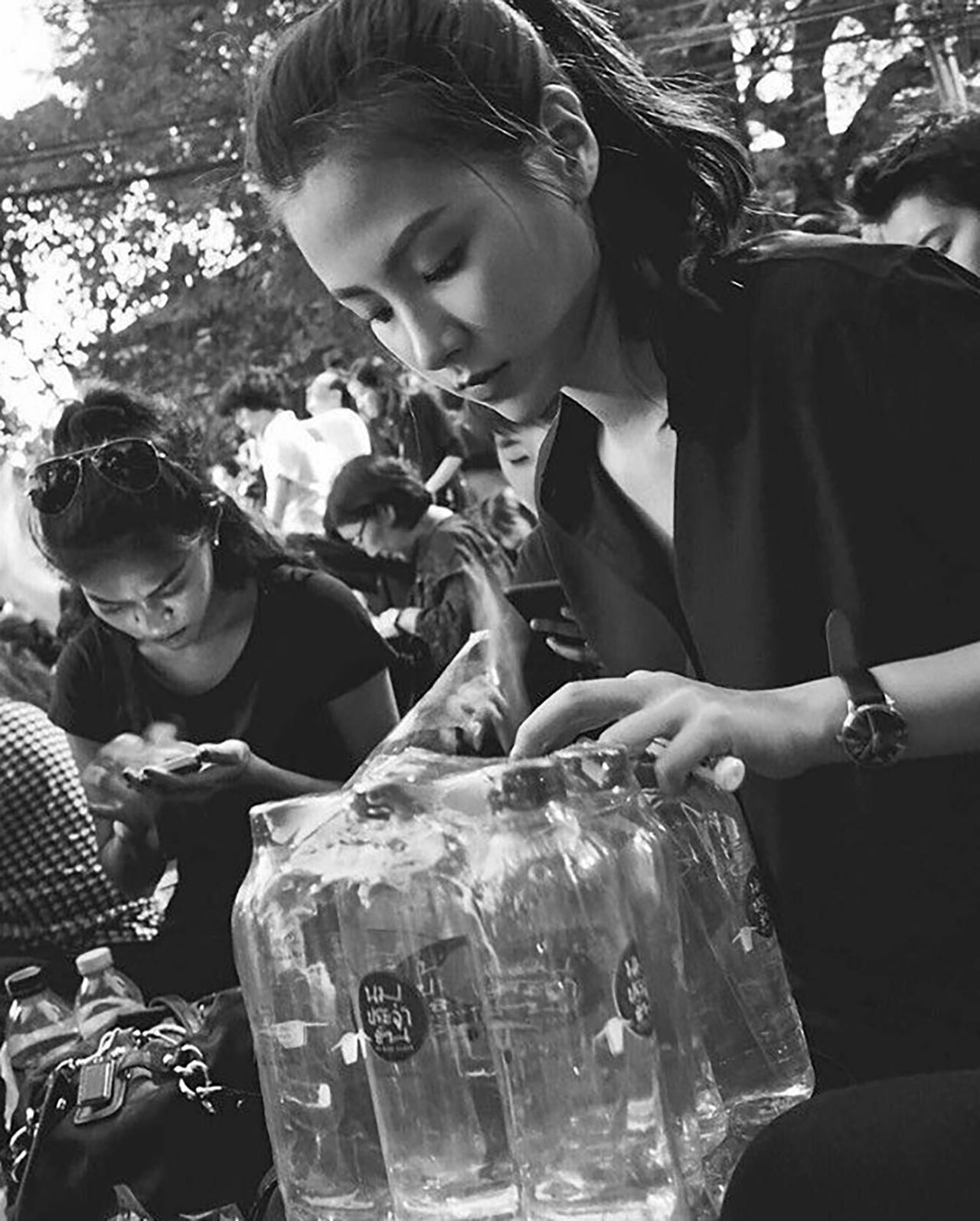 ใบเฟิร์น