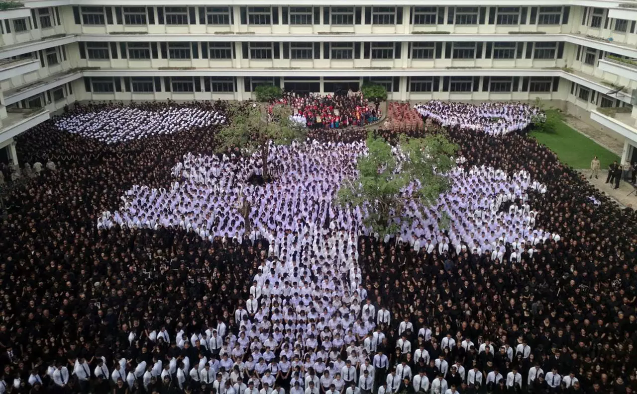 ชาวลำปางหมื่นคน แปรภาพต้นไม้ของพ่อ ให้สัญญาร่วมดูแลไม่ให้ใครตัด