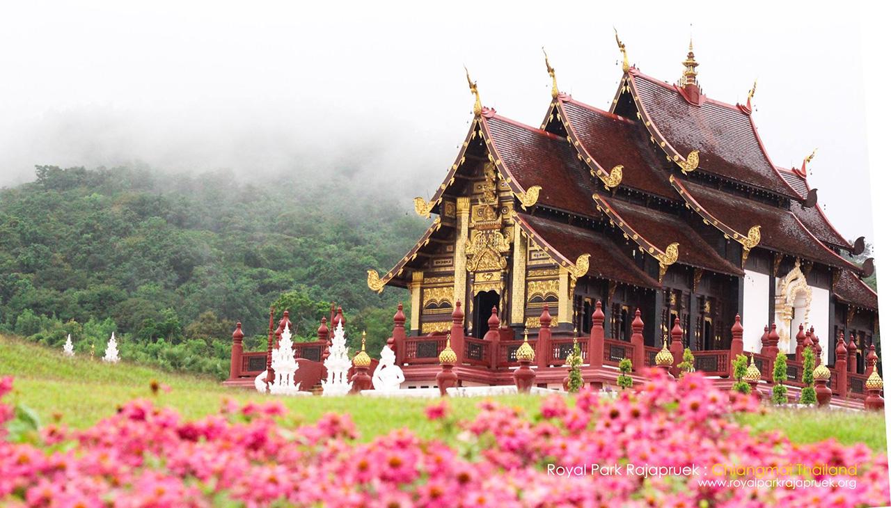 ไปแชะภาพสวยๆ ที่สวนหลวงราชพฤกษ์