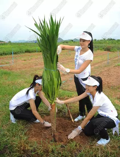 ชั่งหัวมัน โครงการพระราชดำริ ล่าสุด ต้นแบบความสำเร็จในการช่วยเหลือเกื้อกูลกัน