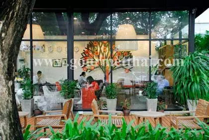 'ร่มไม้ไออุ่น' ปรุงกลิ่นความสุขที่ 'Ambience'