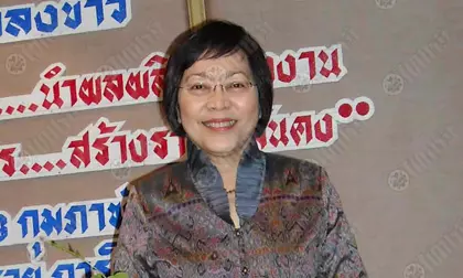 วิจัยสกัดสารไพล ขิง สมุนไพรไทย ใช้บรรเทาอาการปวดข้อเสื่อมเรื้อรัง