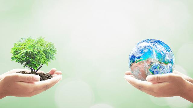 โลกกำลังป่วยไทยก็กำลังป่วย